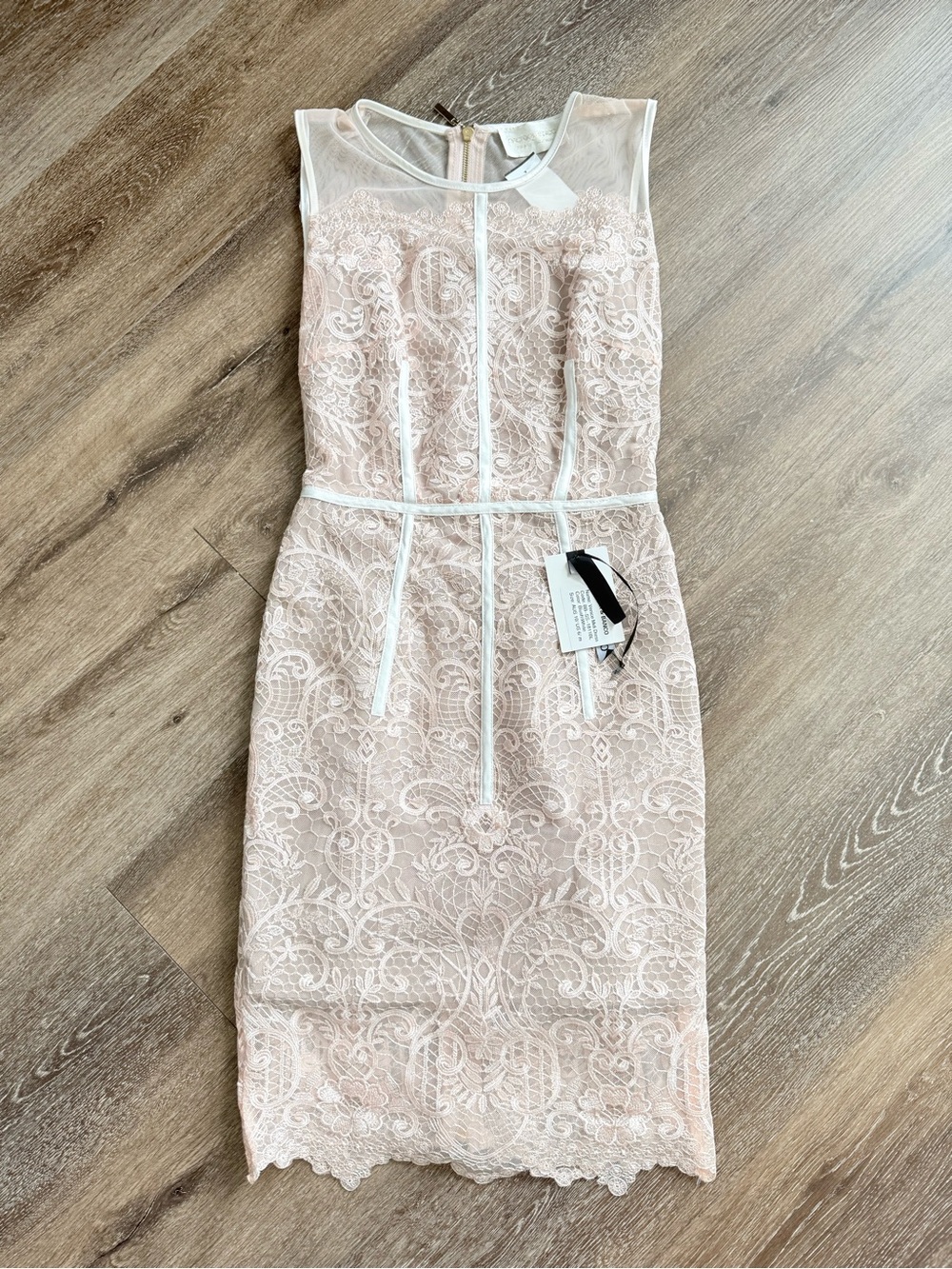 Bronx & Banco Florence Lace Sheath Dress NWT Blush Pink Ivory Size M US 6